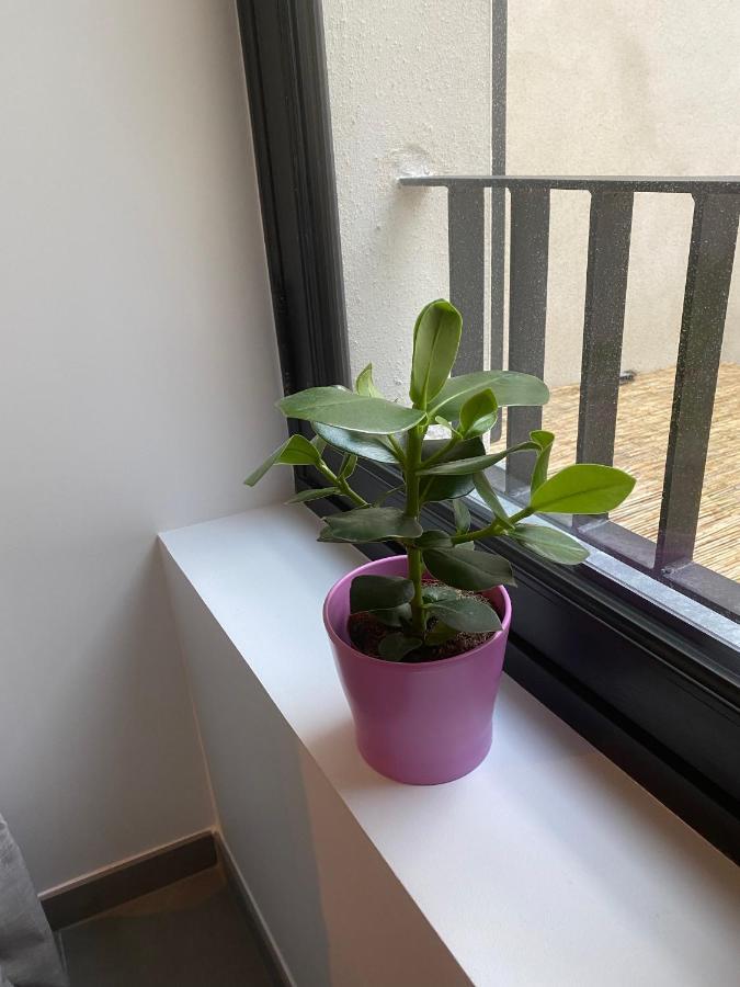 Joli Petit Nid Douillet En Centre Ville La Rochelle  Exteriör bild